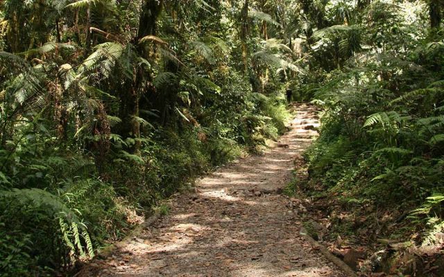14609690 - mt kilimanjaro climbing expedition in tanzania, africa